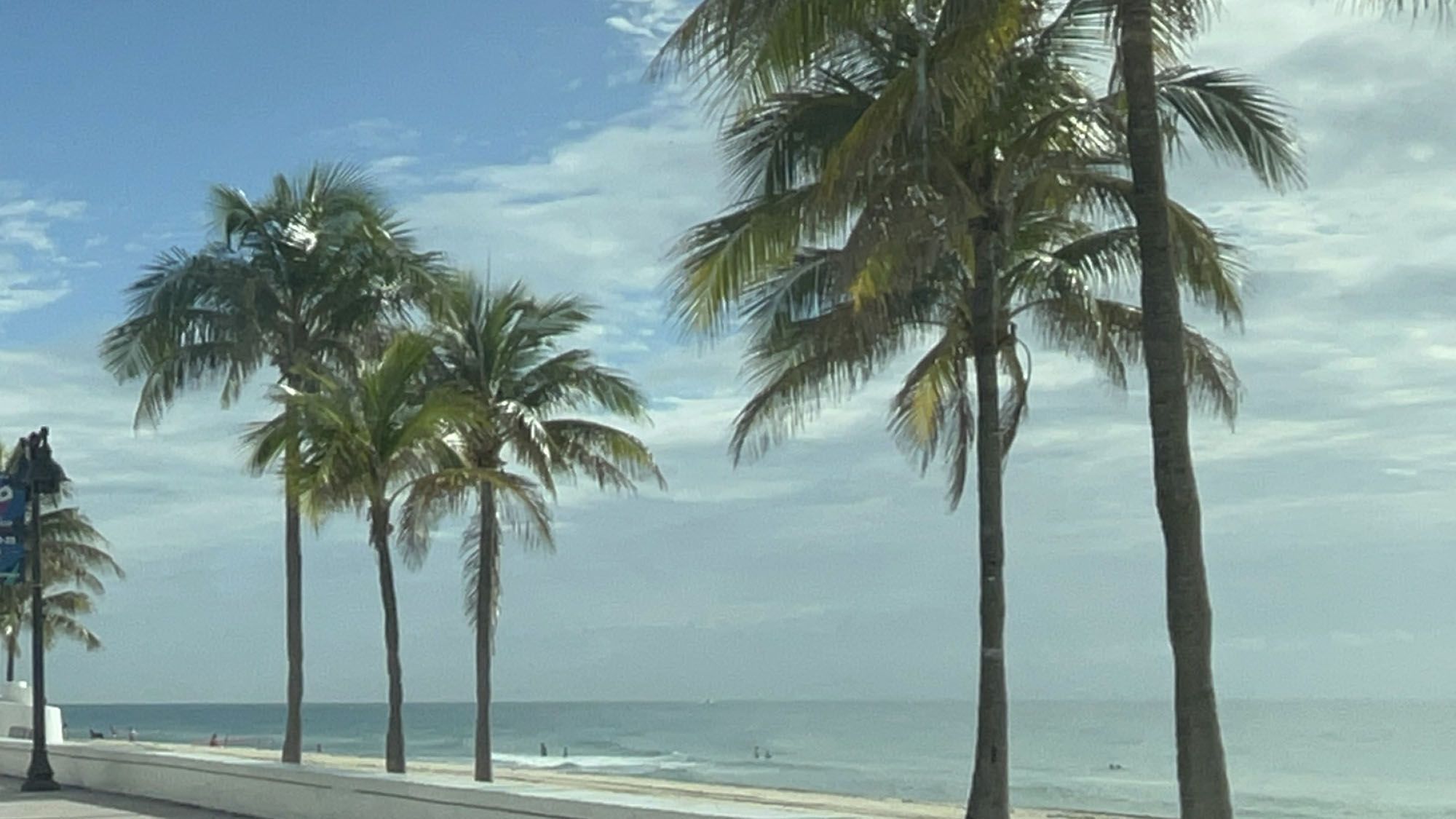 California Cannabis Expo – Sebastopol